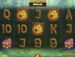 Beary Wild Slots